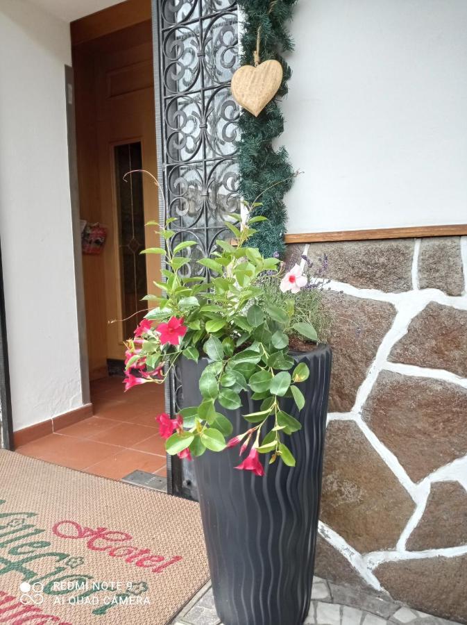 Hotel Millefiori Vigo di Fassa Zewnętrze zdjęcie